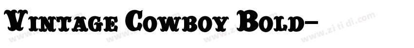 Vintage Cowboy Bold字体转换